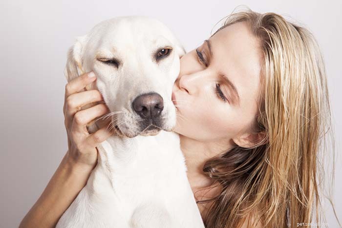 7 situaties die uw honden kunnen belasten