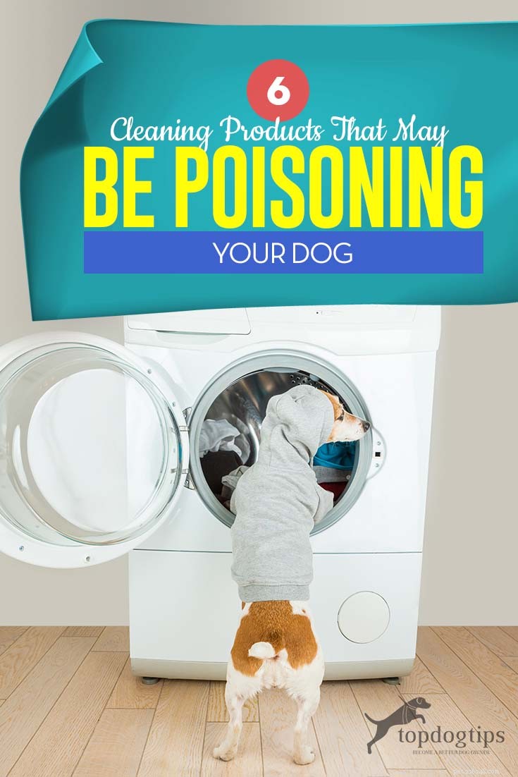 6 schoonmaakproducten die uw hond kunnen vergiftigen