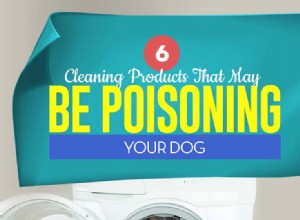 あなたの犬を毒するかもしれない6つのクリーニング製品 