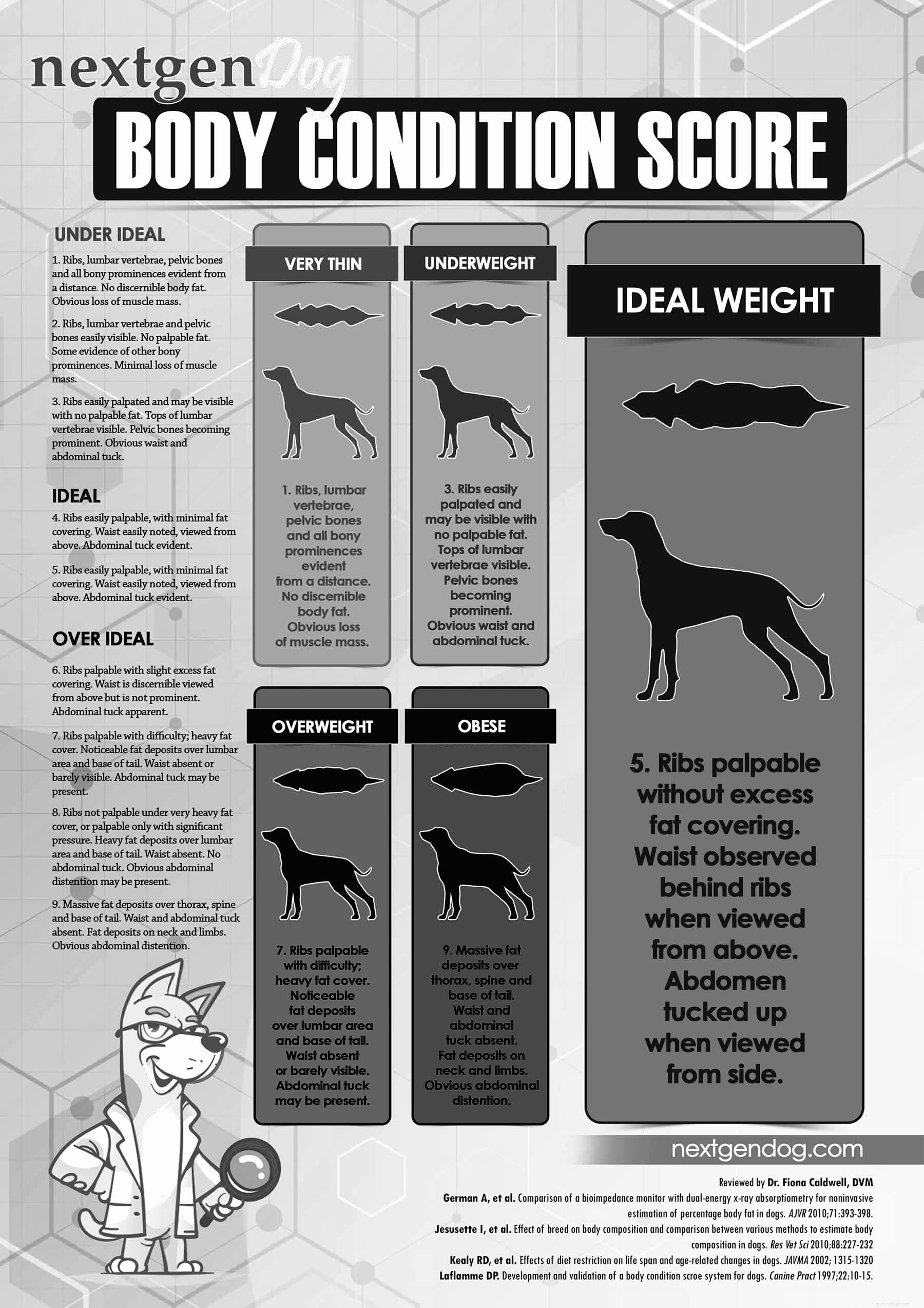 Jak dosáhnout toho, aby pes přibral na váze zdravě