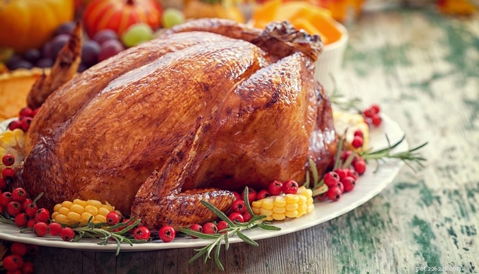 Ce qu il ne faut pas nourrir pour Thanksgiving