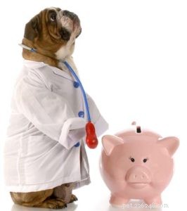 5 opções de financiamento de cuidados veterinários de emergência 