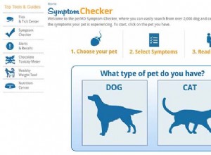 Qu est-ce qui ne va pas avec mon chien ? Les 5 meilleurs vérificateurs de symptômes en ligne