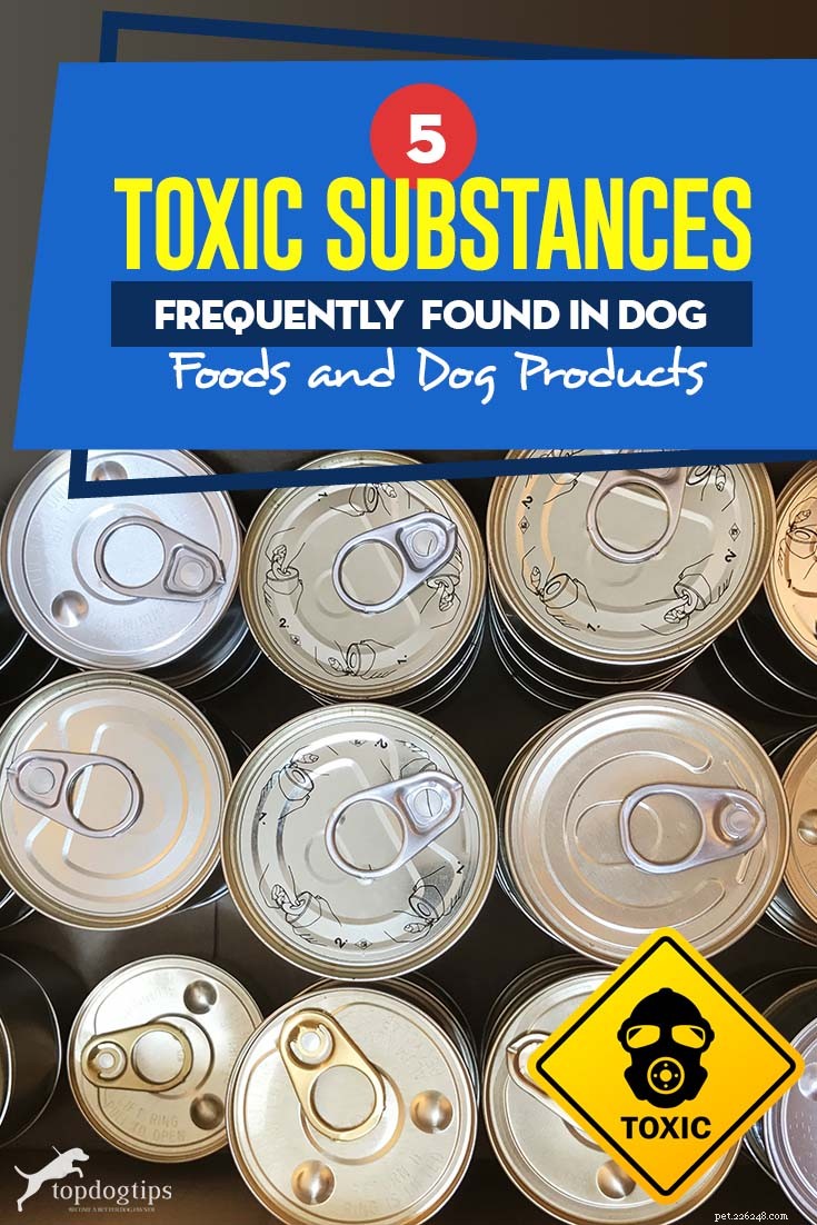 5 токсичных веществ, часто встречающихся в кормах и товарах для животных