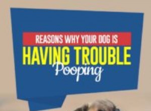 Důvody, proč má váš pes potíže s kakáním