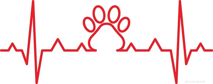 Hartgeruis bij honden:een korte handleiding