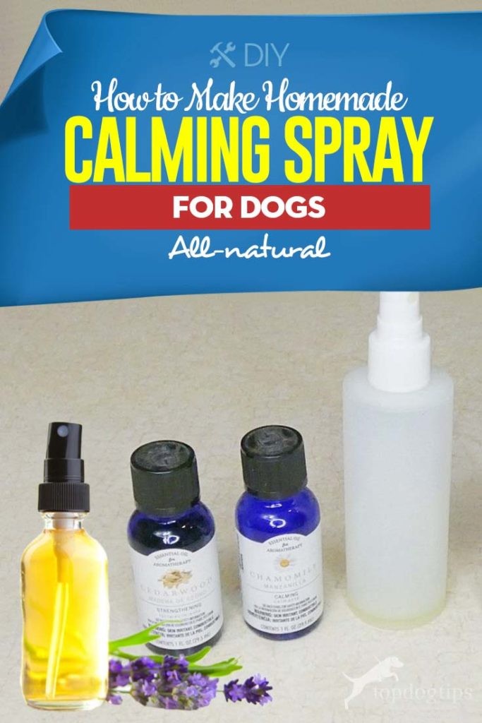 Hoe maak je zelfgemaakte kalmerende spray voor honden