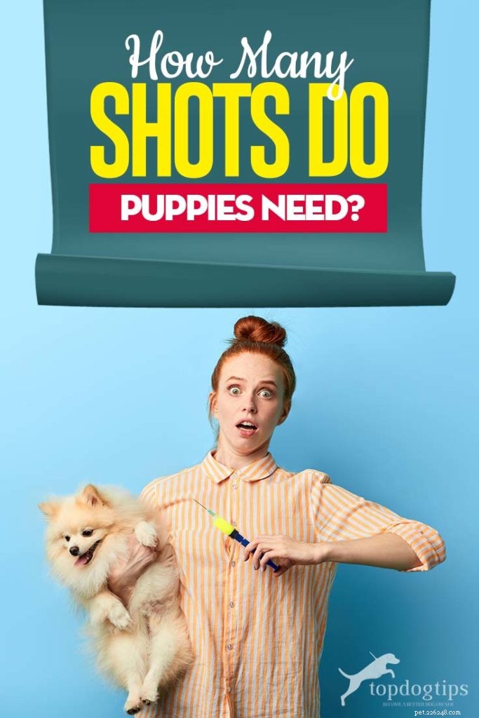 Hoeveel schoten hebben puppy s nodig?