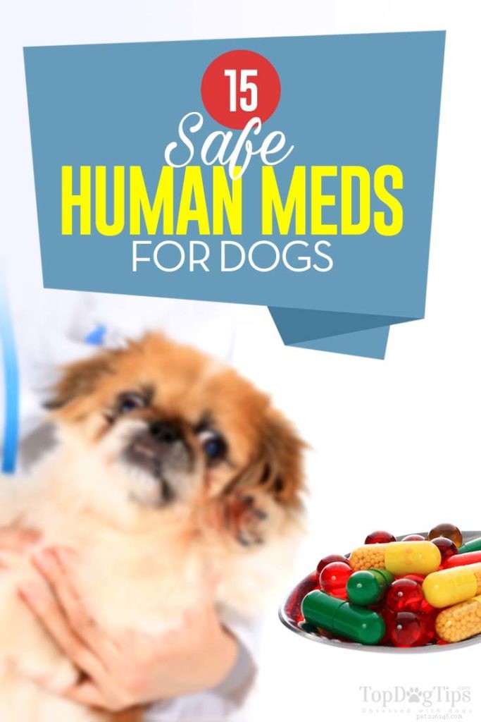 15 säkra humanmediciner för hundar