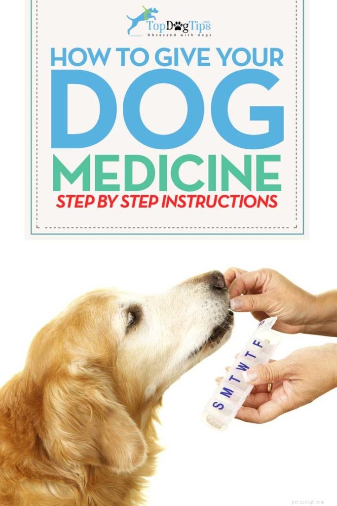 개에게 약을 주는 방법