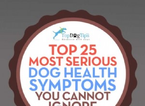 あなたがすぐに対処しなければならない25の犬の健康症状 