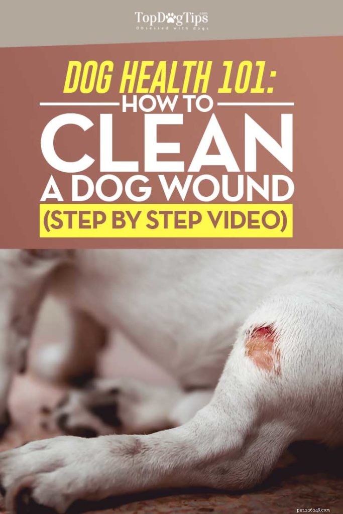 犬の傷をきれいにする方法 