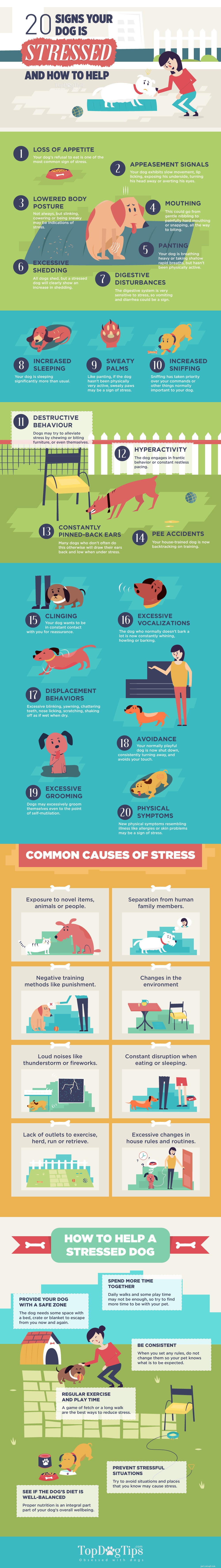 20 segni di stress nei cani [Infografica]