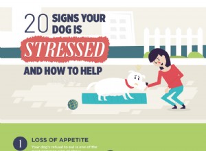 犬のストレスの20の兆候[インフォグラフィック] 