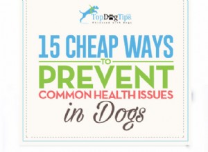 犬の一般的な健康問題を防ぐための15の安価な方法 