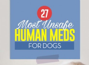 27犬のための危険な人間の薬 