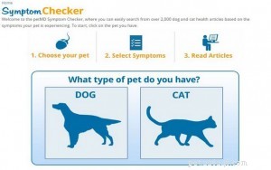 Nejlepší online kontrola příznaků onemocnění psů