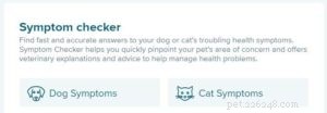 Melhor verificador on-line de sintomas de doenças caninas