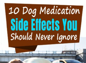 10 vedlejších účinků léků pro psy, které byste nikdy neměli ignorovat