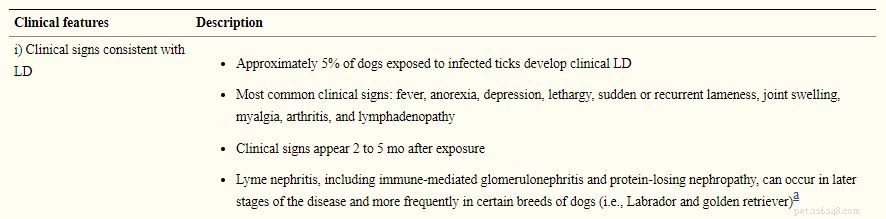 10 способов предотвратить болезнь Лайма у собак