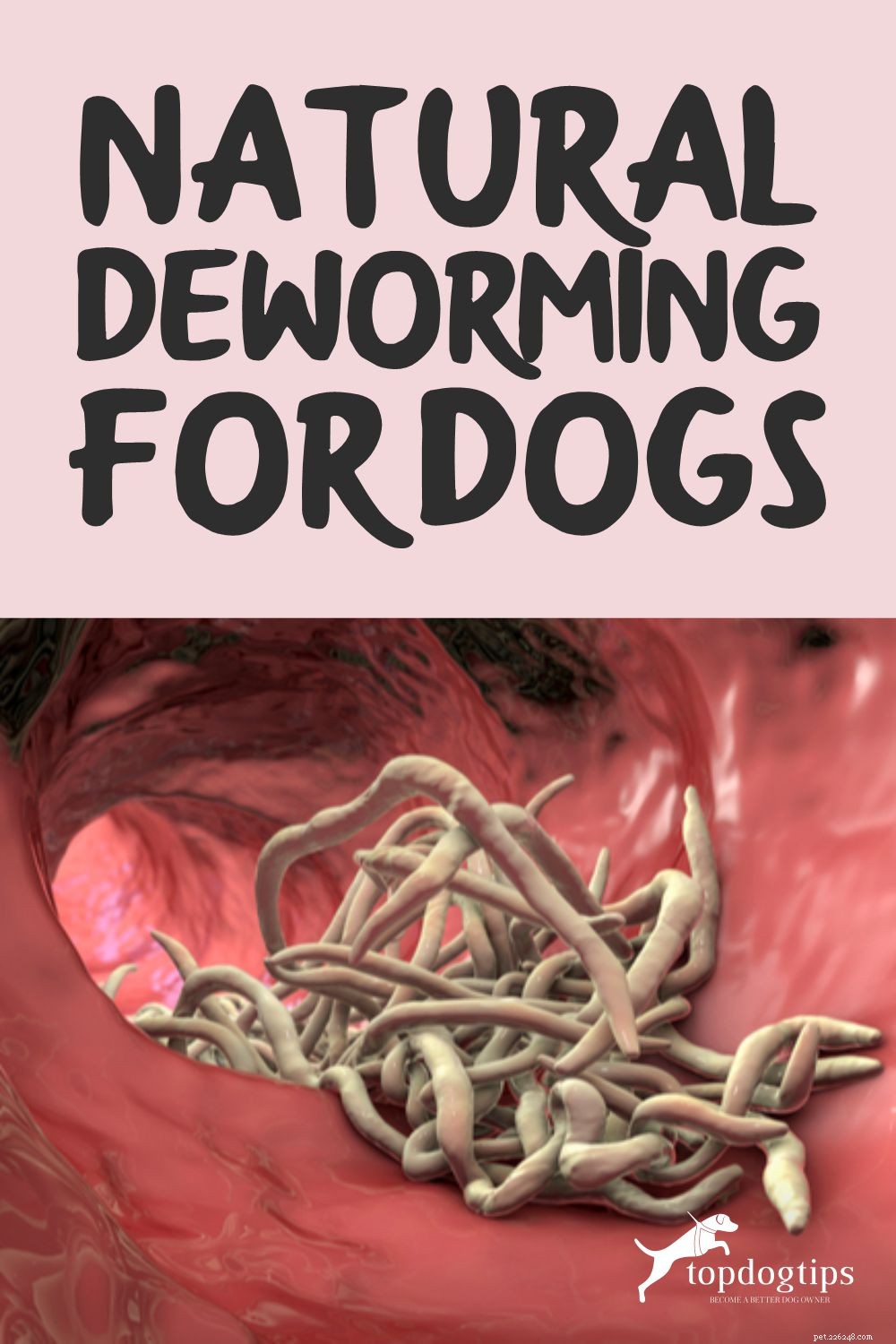 Natuurlijke ontworming voor honden