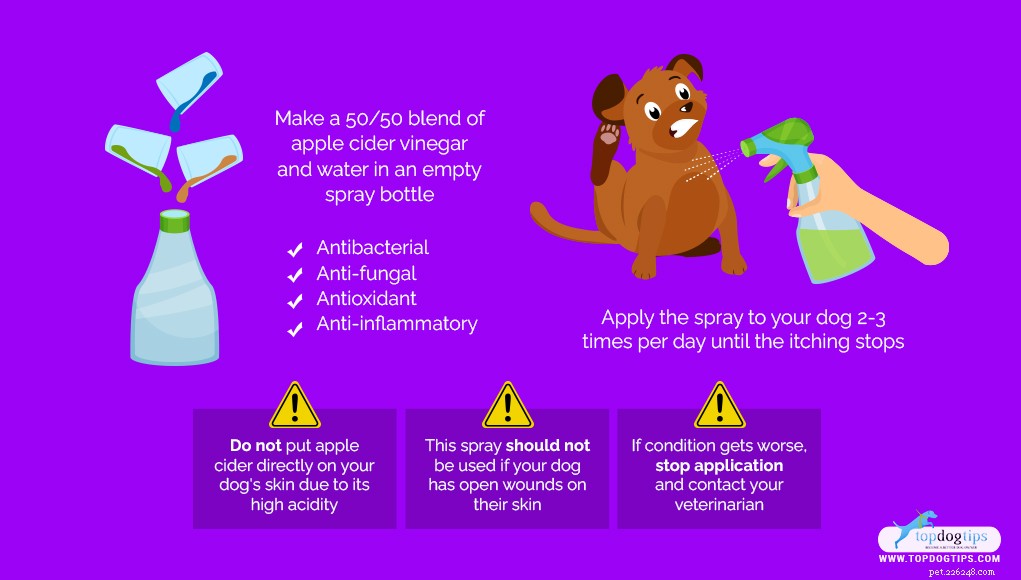 Como fazer spray caseiro para coceira em cães