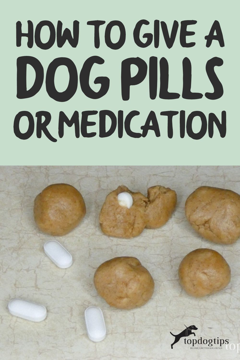 Hur man ger en hund piller eller medicin