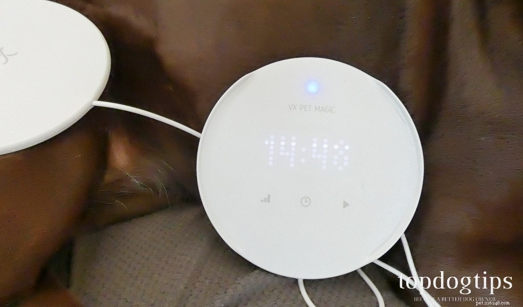 Recension:VX Pet Magic Electromagnetic Therapy Device
