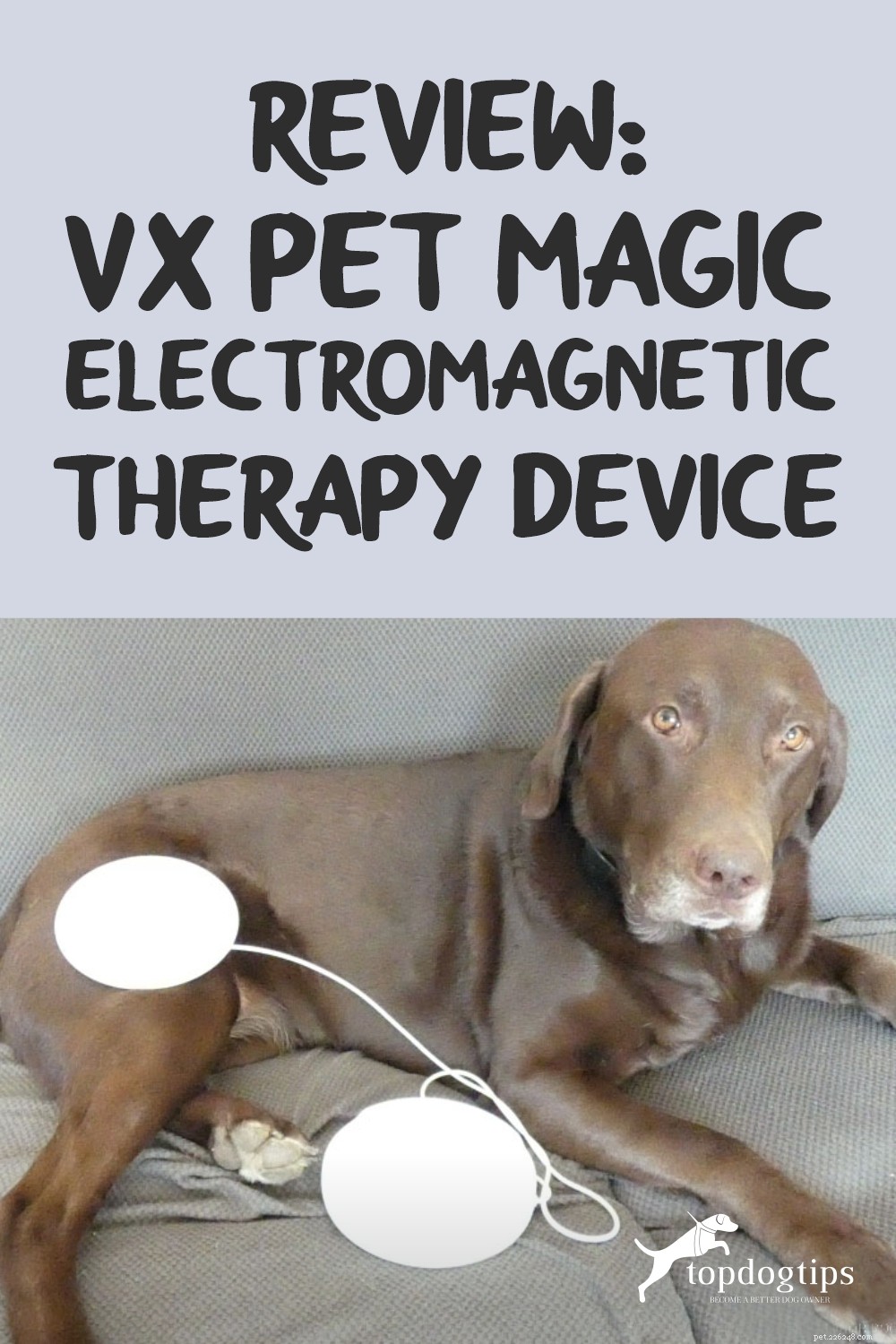 Revisão:Dispositivo de terapia eletromagnética VX Pet Magic