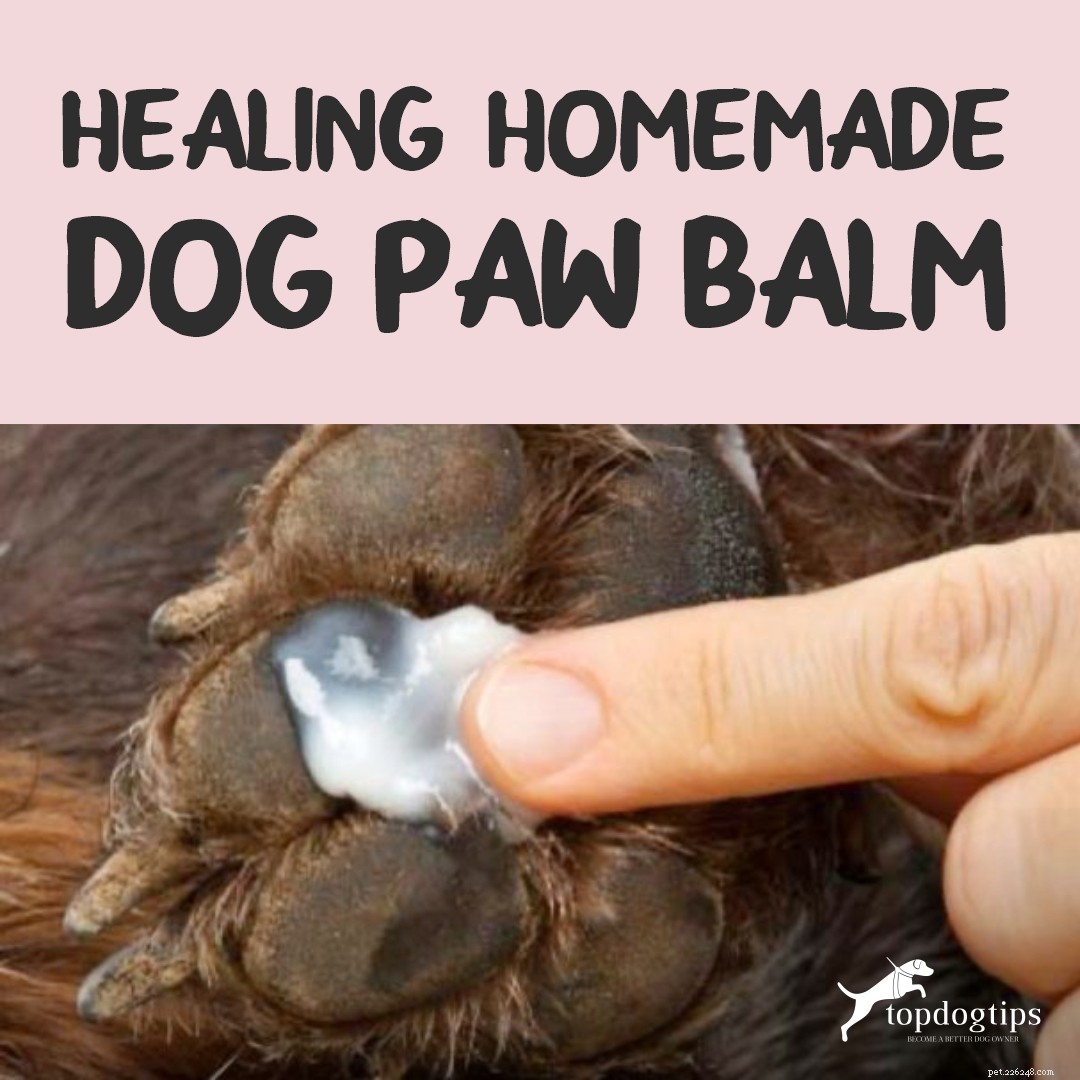 Healing Homemade Dog Paw Balm