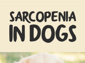 TOP #130:Sarkopenie u psů – co to je a jak ji léčit?
