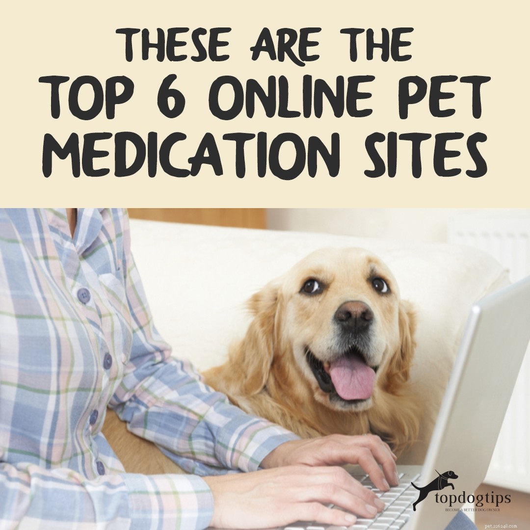 Estes são os 6 principais sites on-line de medicamentos para animais de estimação
