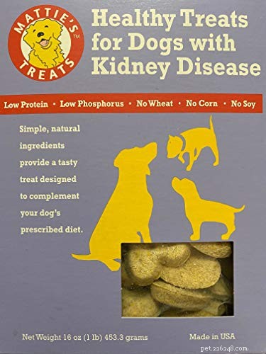 犬の尿路感染症：予防と治療 