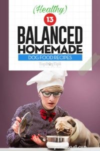 13 vyvážených receptů na domácí krmivo pro psy