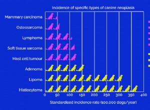 10発がん性の犬用製品と家庭用品 
