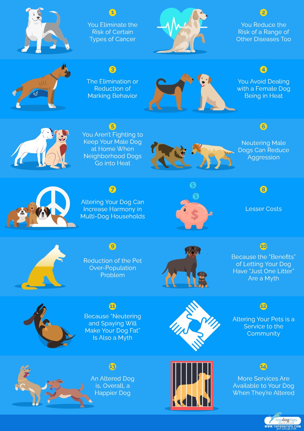 14 výhod kastrování a kastrace vašich psů