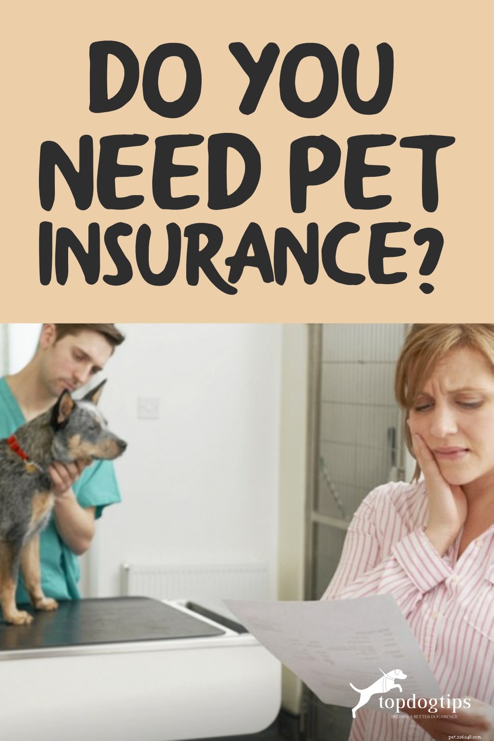 Você precisa de seguro para animais de estimação?