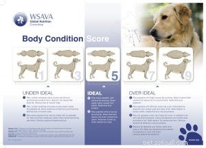 あなたの犬が太っているのかどうかを見分ける方法は？ 