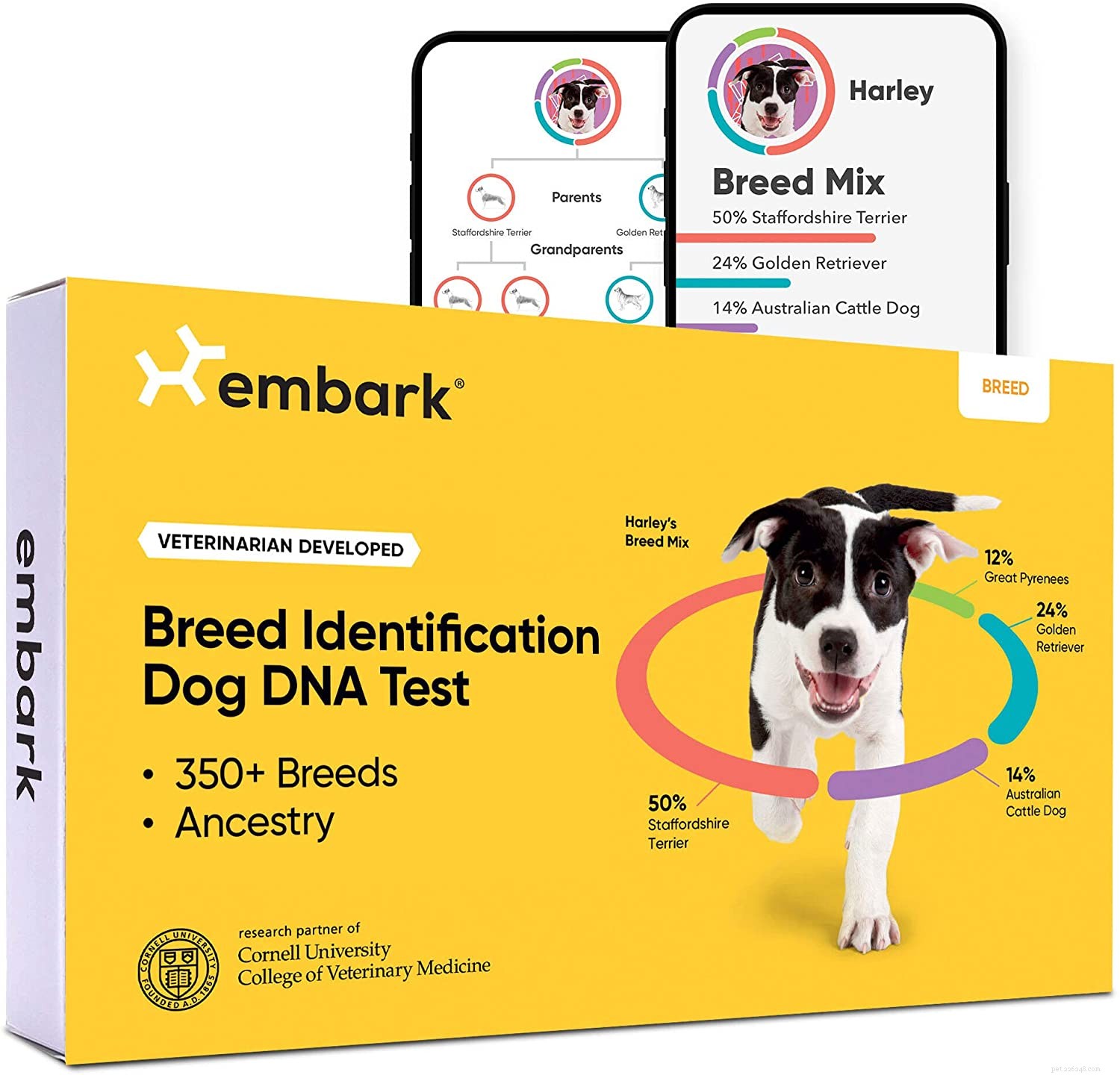 犬のDNA検査は機能しますか？それらはどれくらい正確ですか？ 