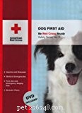 20 melhores livros sobre saúde e cuidados caninos