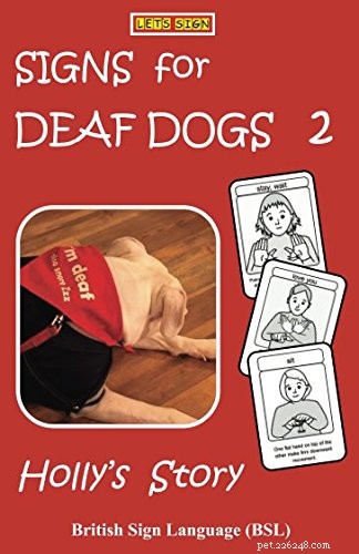 La perte auditive de mon chien et ce qu il faut faire :un guide informatif