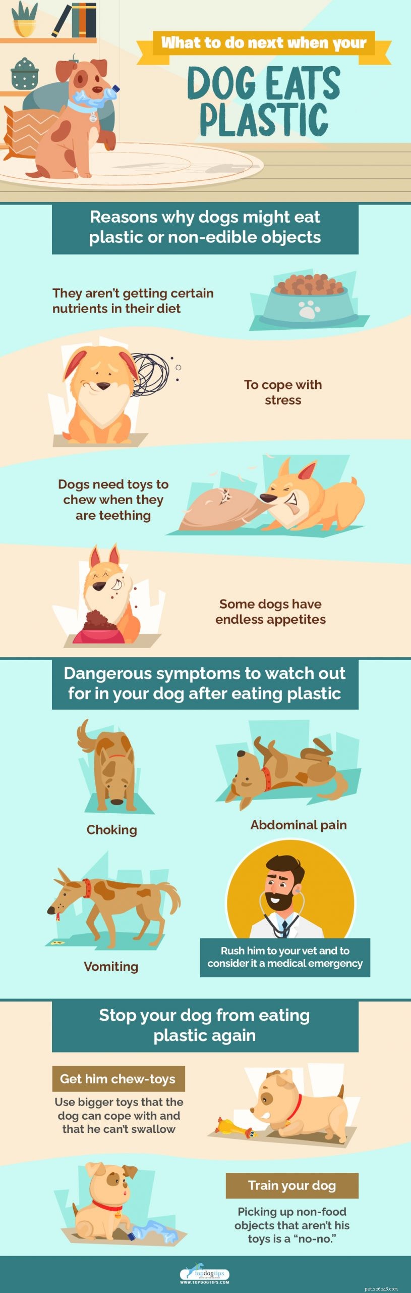 Il tuo cane ha mangiato plastica? Ecco cosa fare dopo