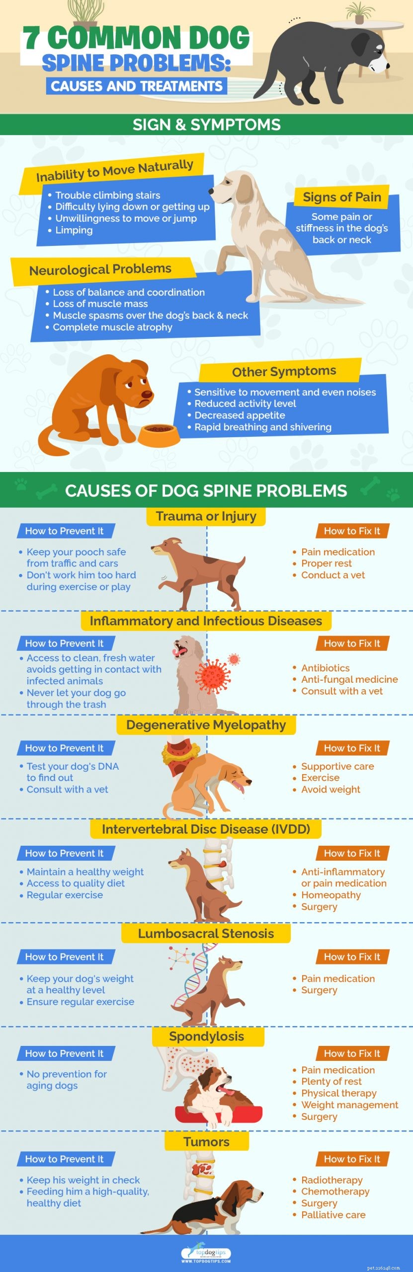 7 veelvoorkomende problemen met de wervelkolom bij honden:oorzaken en behandelingen