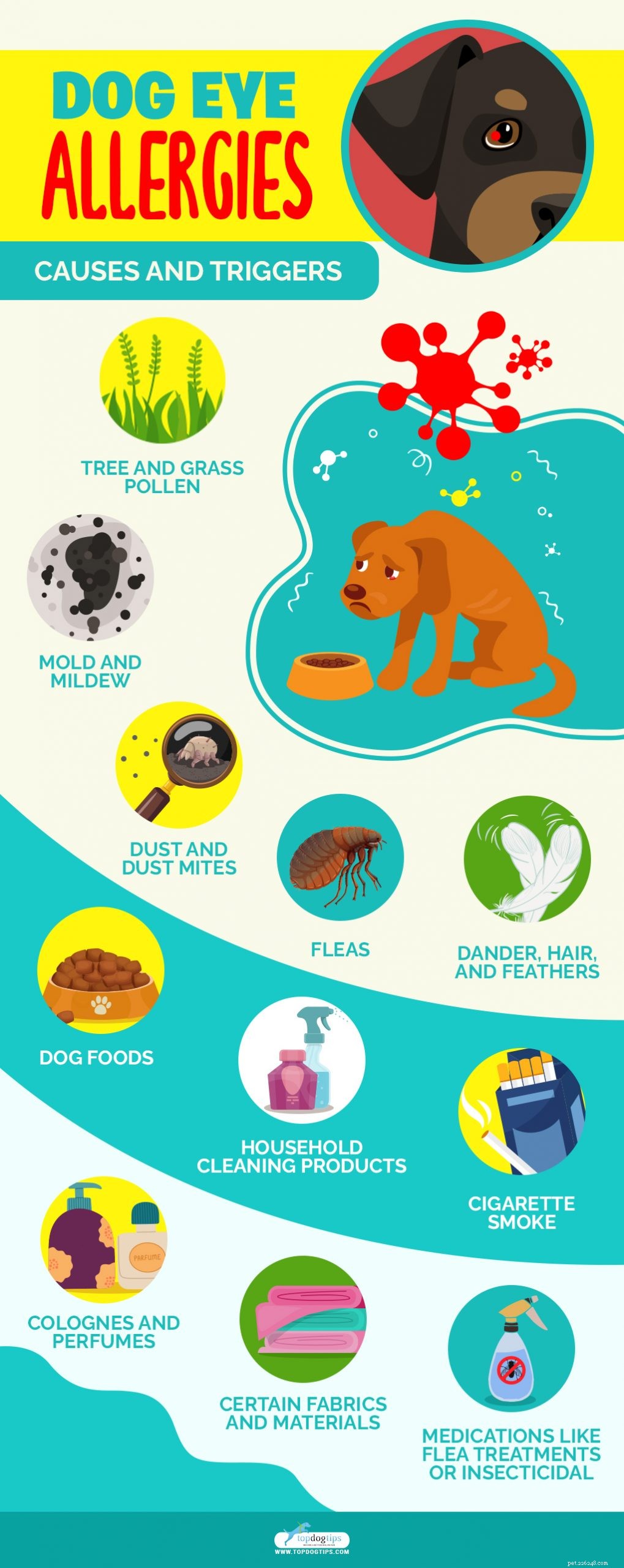 Alergias oculares de cachorro:sintomas, causas, remédios