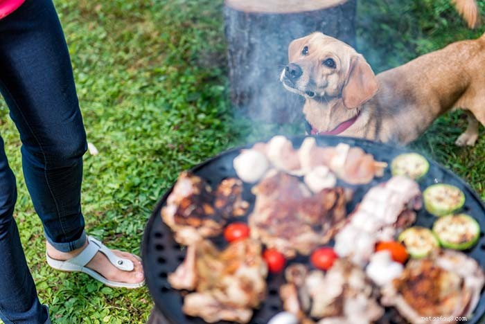 犬はどんな人間の食物を食べることができますか？ 