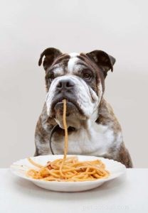 Quelle nourriture humaine les chiens peuvent-ils manger ?