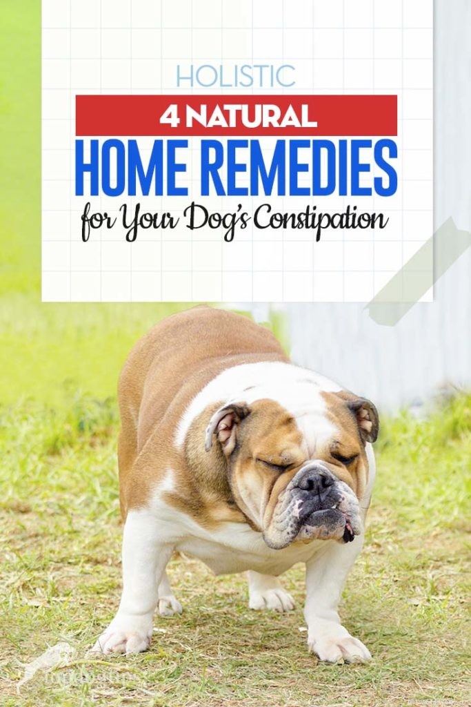 Huismiddeltjes tegen constipatie bij honden