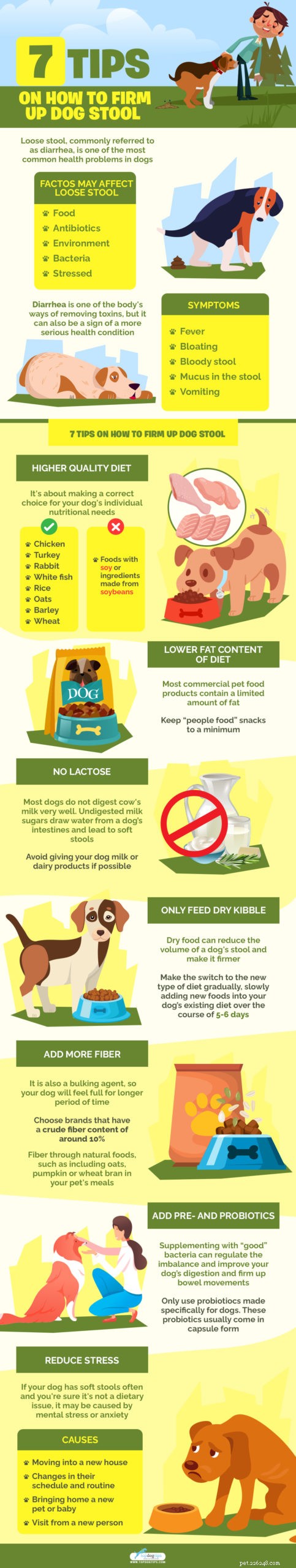 犬の糞を固める方法に関する7つのヒント 