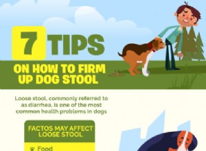 犬の糞を固める方法に関する7つのヒント 