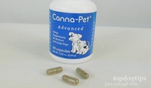 Обзор:продукты из конопли Canna-Pet для собак